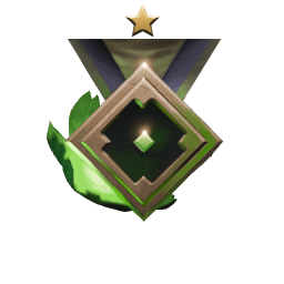 Rank medal