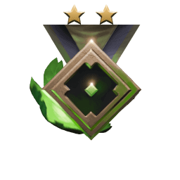 Rank medal