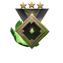 Rank medal