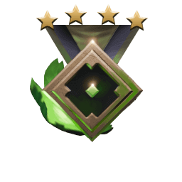 Rank medal