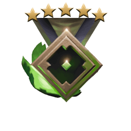 Rank medal